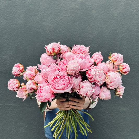 PASTEL PINK COLOURS PEONY /IN-3-DAYS+/