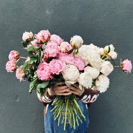 PASTEL PINK & CREAM COLOURS PEONIES /IN-3-DAYS+/